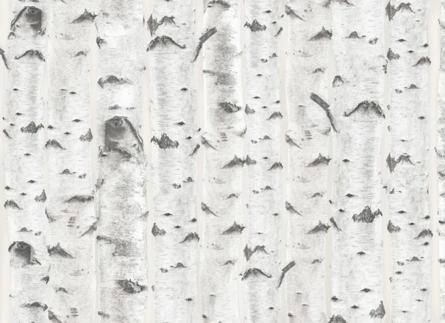 Hovia FO5004NE04W Birch Cream - mural w brzozy