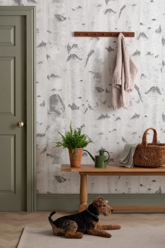 Hovia FO5004NE04W Birch Cream - mural w brzozy