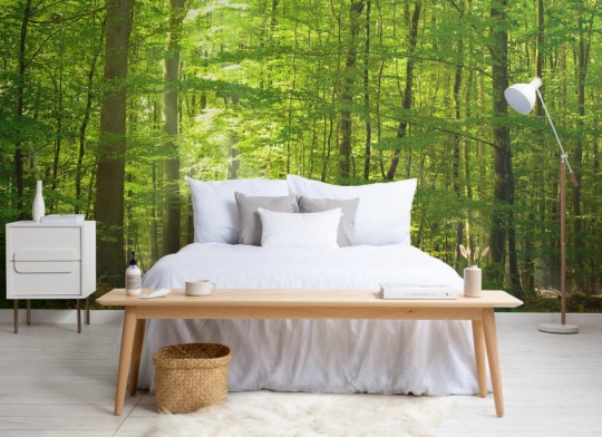 Hovia FO0053GR30W Ambience - mural w leśny krajobraz