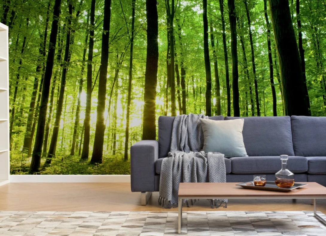 Hovia FO0059GR30W Sunburst - mural w leśny krajobraz