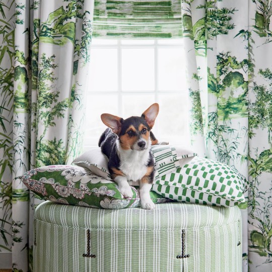 Anna French AT9830 Nara Kyoto Eggplant - tapeta w roślinny krajobraz