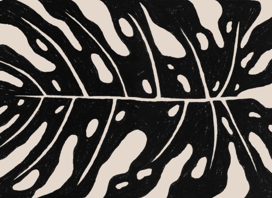 Hovia TR0075BL03W Araceae Black - mural w liść monstery