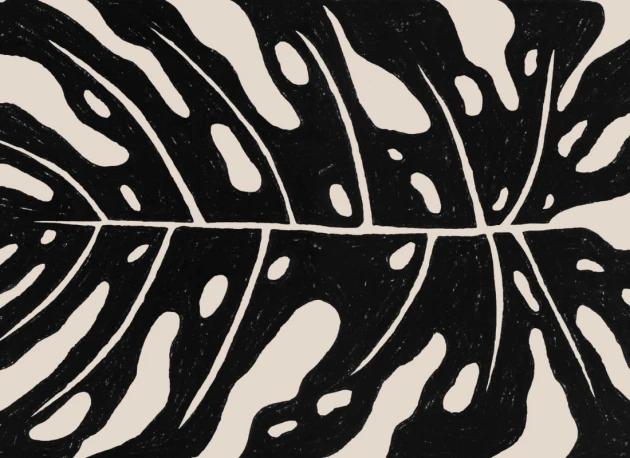 Hovia TR0075BL03W Araceae Black - mural w liść monstery