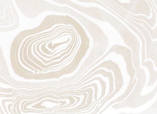 Hovia AB0122NE03W Sumi - mural w organiczne linie