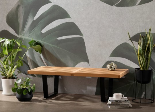 Hovia TR0062GR04W Eco - mural w egzotyczne liście na betonowym tle