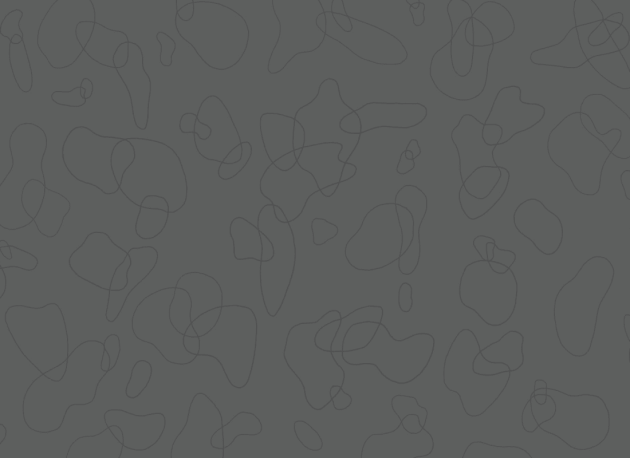 Hovia AB0008BL03W Daydream Black - mural w abstrakcyjne linie