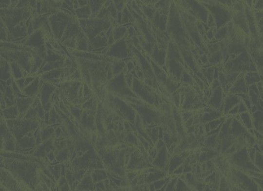 Hovia NA0034GR06W Thicket Green - mural w abstrakcyjny wzór