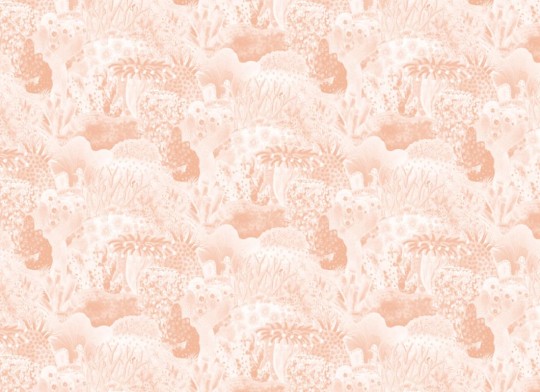 Hovia OC5005PI06R Anthozoa Peach - tapeta w rafę koralową