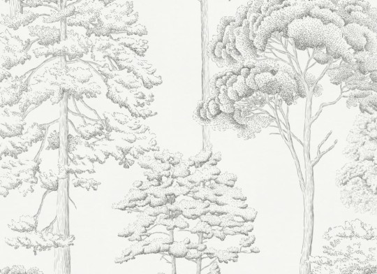 Hovia FO5006BW04R Eva - tapeta w szkice drzew