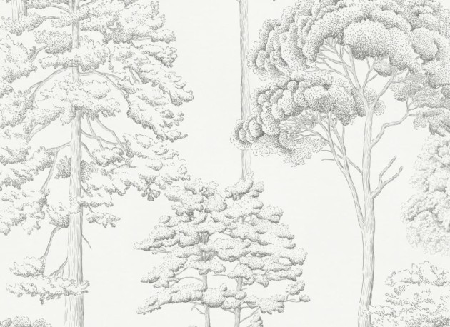 Hovia FO5006BW04R Eva - tapeta w szkice drzew