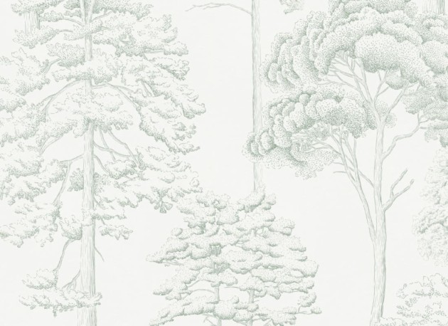 Hovia FO5007GR04R Eva Green - tapeta w szkice drzew