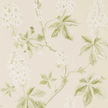 c416c2a4c42f92629bbddfcf0a9d2fc5