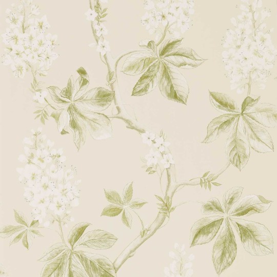 Sanderson 215707 Country Woodland Chestnut Tree Lemon - tapeta w kwiaty i liście kasztanowca
