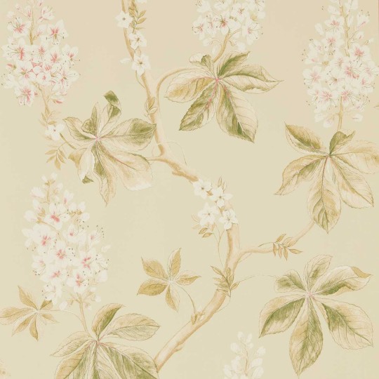 Sanderson 215709 Country Woodland Chestnut Tree Coral - tapeta w kwiaty i liście kasztanowca