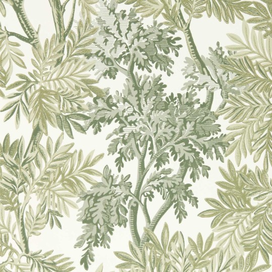 Sanderson 217416 Country Woodland Tapestry Trees Forest - tapeta w gałęzie dębu