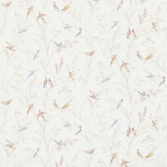Sanderson 214080 Country Woodland Tuileries Taupe - tapeta w kolibry