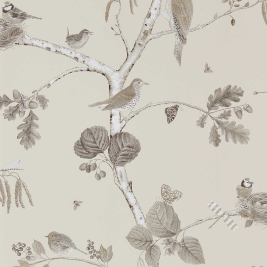 Sanderson 215704 Country Woodland Chorus Sepia - tapeta w ptaki na gałęziach