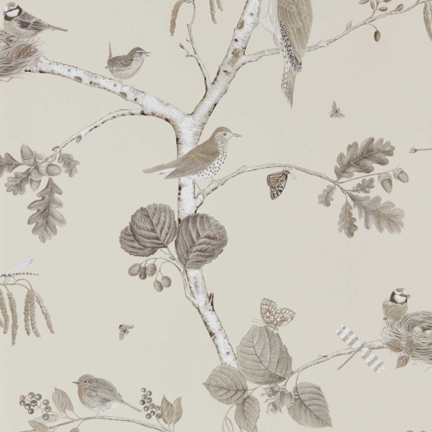 Sanderson 215704 Country Woodland Chorus Sepia - tapeta w ptaki na gałęziach