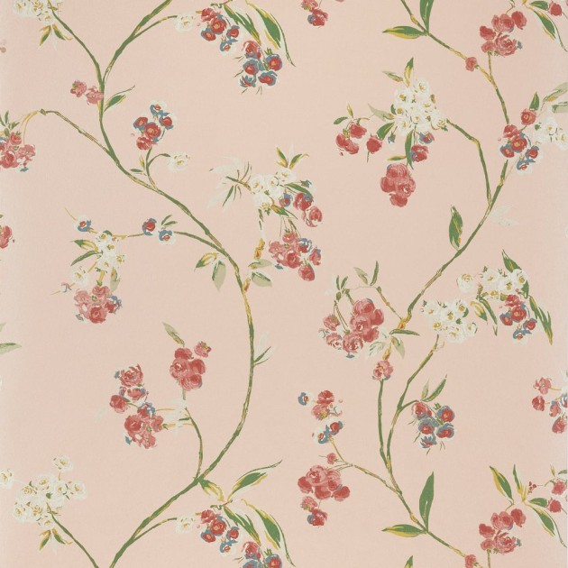 Anna French AT16155 Belvedere Edo Bloom Blush on Pearl - tapeta w kwiaty wiśni