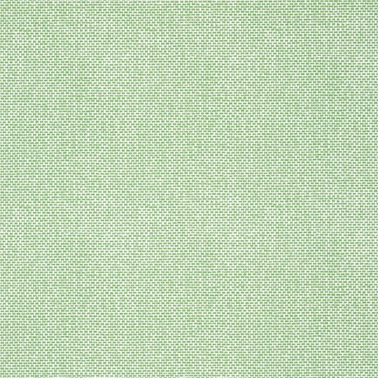 Thibaut T16261 Kismet Palawan Green - tapeta imitująca tkany papier