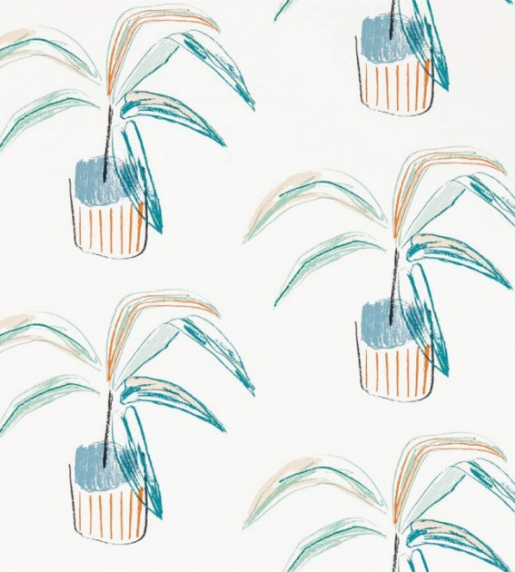 Scion 111990 Zanzibar Crassula Tangerine – tapeta w palmy doniczkowe