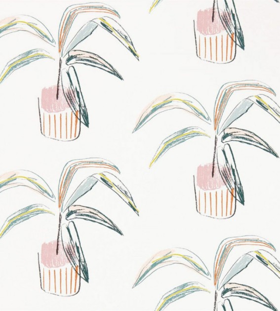 Scion 111992 Zanzibar Crassula Blush – tapeta w palmy doniczkowe