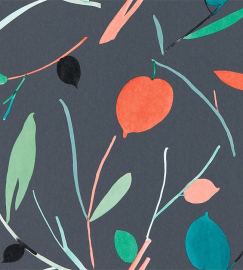 Scion 111997 Zanzibar Oxalis Pimento – tapeta w liście i owoce