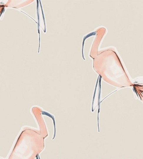 Scion 111998 Zanzibar Peach – tapeta we flamingi