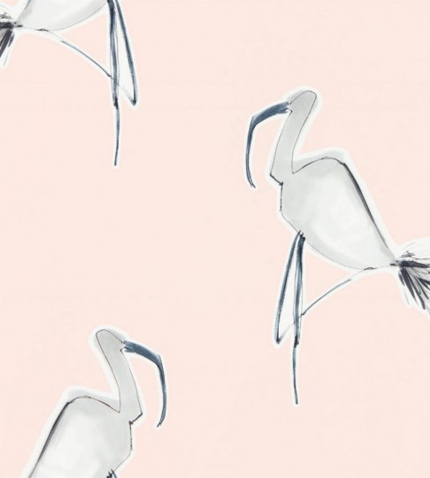 Scion 111999 Zanzibar Blush – tapeta we flamingi