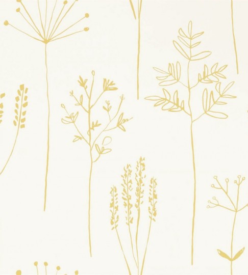 Scion 112021 Zanzibar Stipa Honey – tapeta w gałązki trawy
