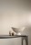 63338027cc32aa0b2d36f759078f4467