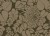 923a986b3183e64928acf45968ac7283