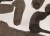 e8d5cce5b8095c780b5cb31f3ab7facf