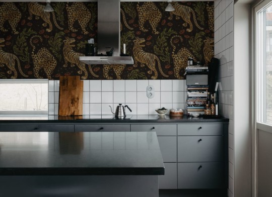 Rebel Walls R19750 Pops Bold Tigers Black - mural w tygrysy