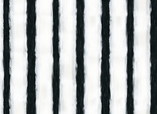 Rebel Walls R20674 Pops Painted Stripes Black & White - mural w paski