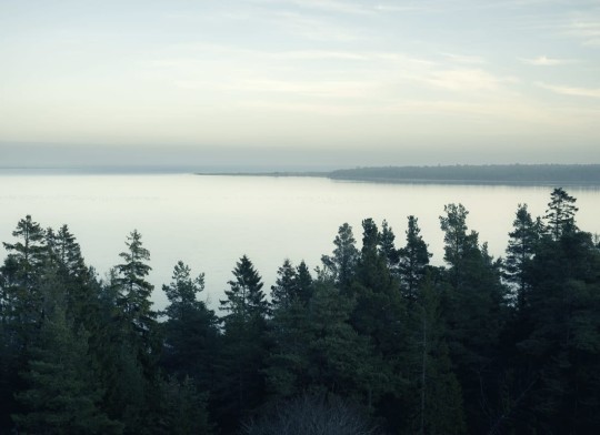 Rebel Walls R20263 Pops Top View Day - mural w krajobraz lasu i jeziora