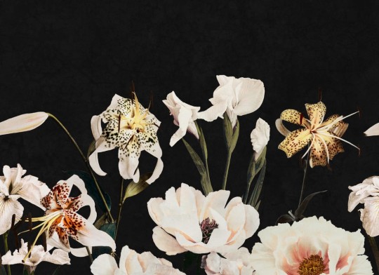 Rebel Walls R20240 Pops Dramatic Bouquet Black - mural w kwiaty na ciemnym tle