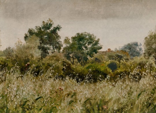 Rebel Walls R21414 Pops Oatfields Summer - mural w letnią łąkę