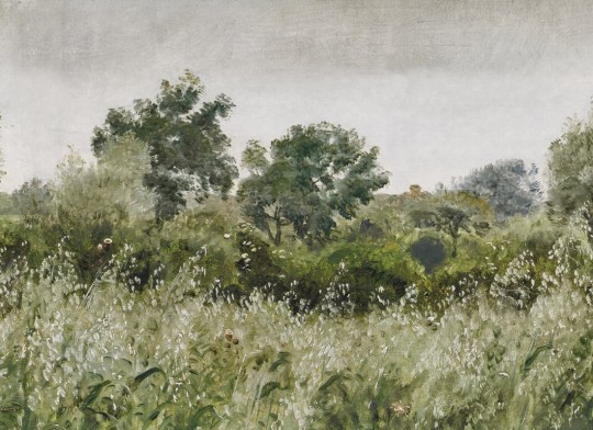 Rebel Walls R21415 Pops Oatfields Spring - mural w wiosenną łąkę