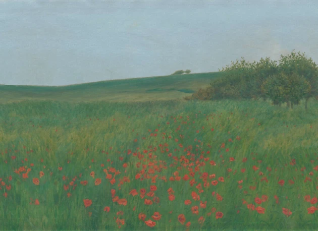 Rebel Walls R21537 Pops Poppy Landscape Summer - mural w krajobraz łąki i maki