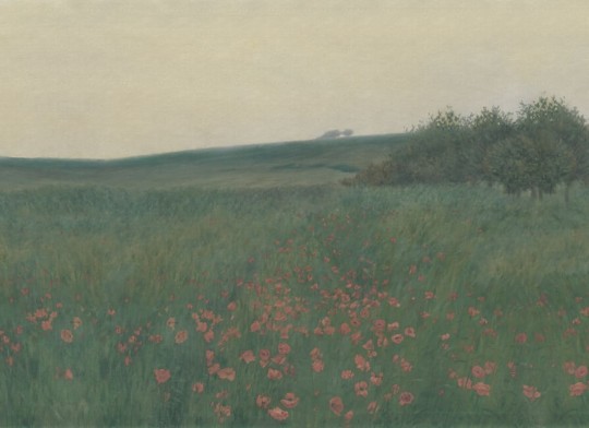 Rebel Walls R21538 Pops Poppy Landscape Dawn - mural w krajobraz łąki i maki