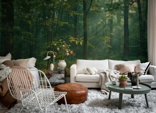 Rebel Walls R21362 Pops Sunrise Forest Dawn - mural w leśny krajobraz