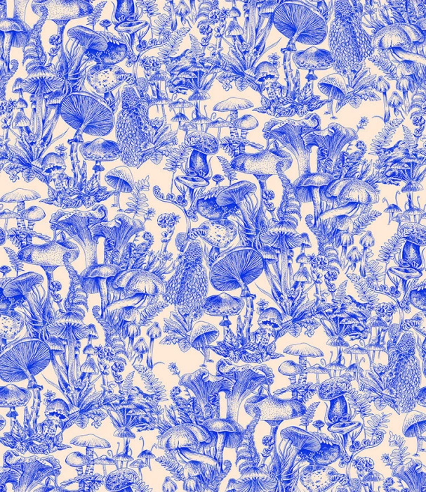 fd2ce82307d0c03b39b78aebb928f758