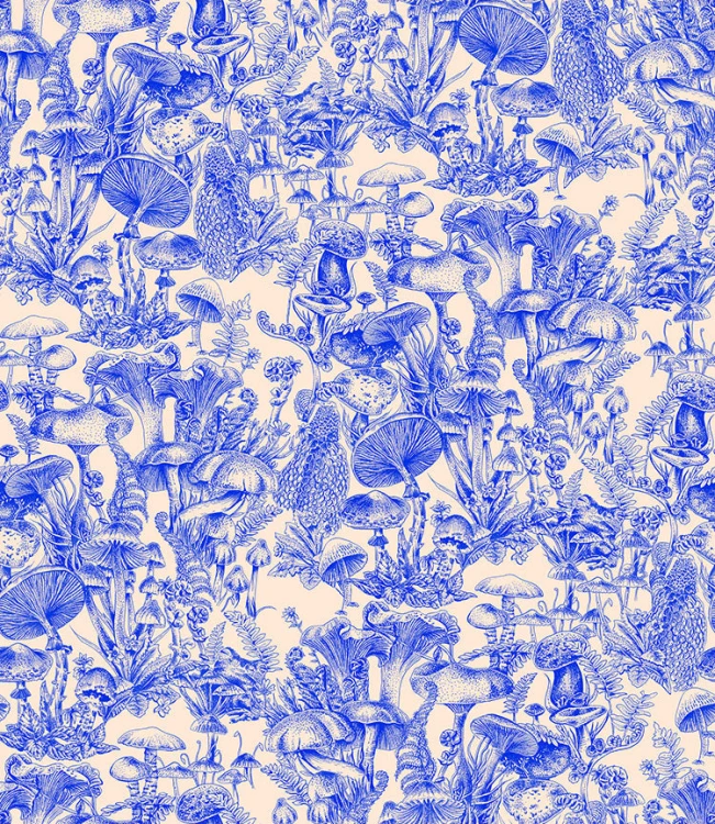 fd2ce82307d0c03b39b78aebb928f758