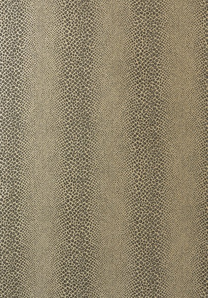 Anna French AT7921 Watermark Mamba Grey on Metallic Silver - tapeta imitująca skórę węża