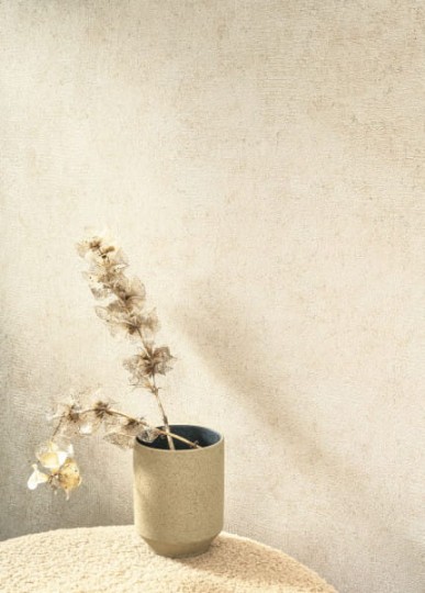 OL / Casadeco 88090101 So Color 5 Mur A La Chaux - dostępne 4 rolki