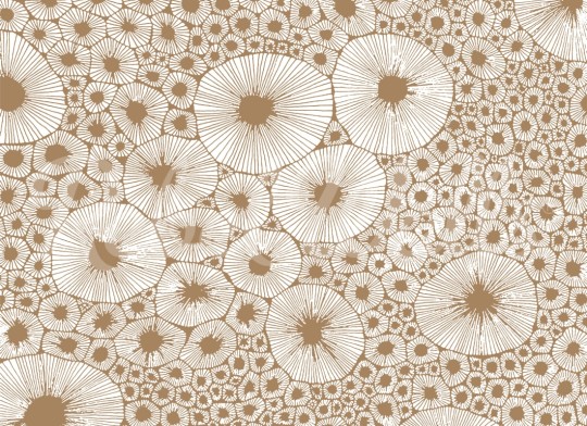 Rebel Walls R20276 Shutterstock Hop Bold Coral Brown - mural w koralowce