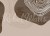 2d3bc2986fdd03abb47d1352660a7503