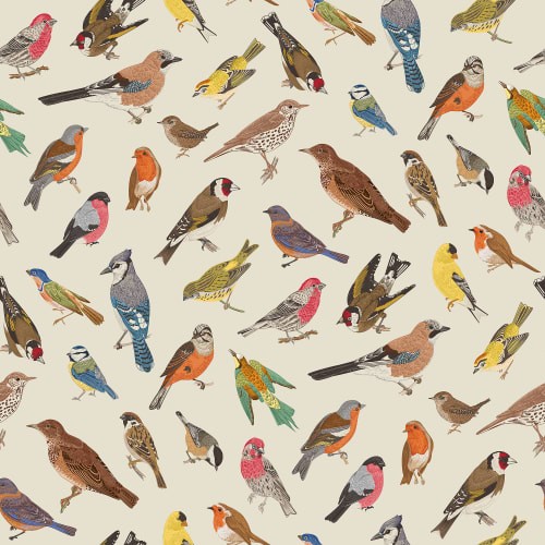 Rebel Walls R21389 Shutterstock Birdsong Bliss Multi - mural w ptaki