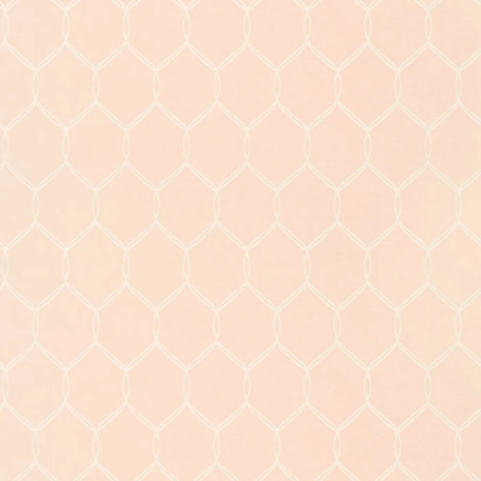 d77d5a44f06a6a6c86ffbd7623f1d04e